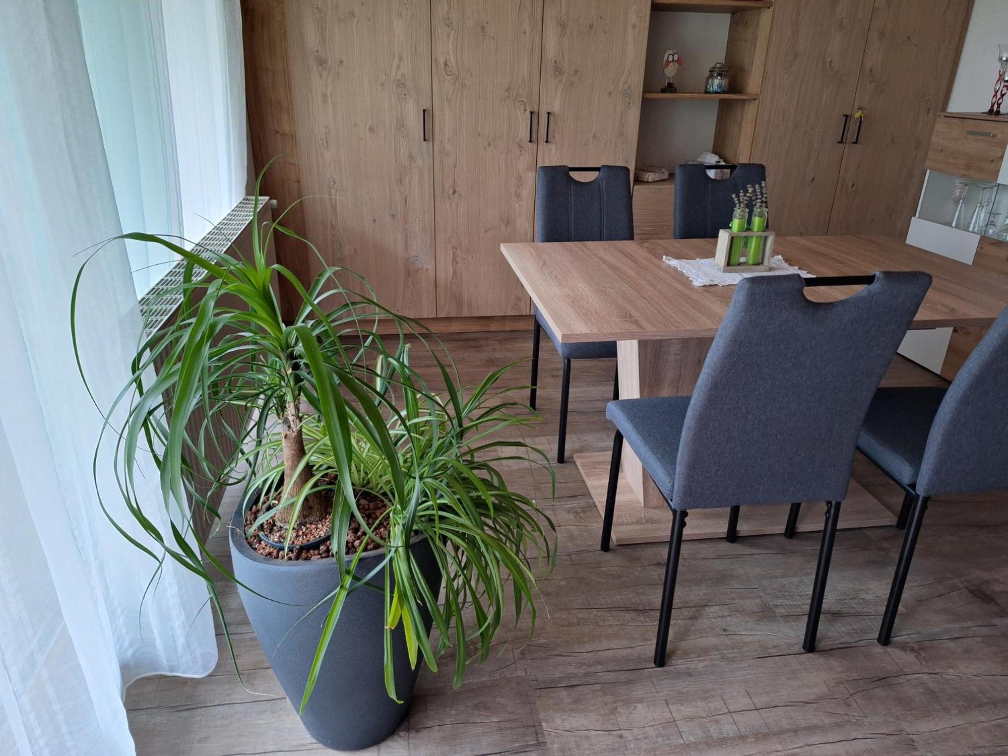 Apartment Eva Заутенс Екстериор снимка